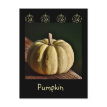 White Pumpkin Mini Gourd Herfst Briefkaart