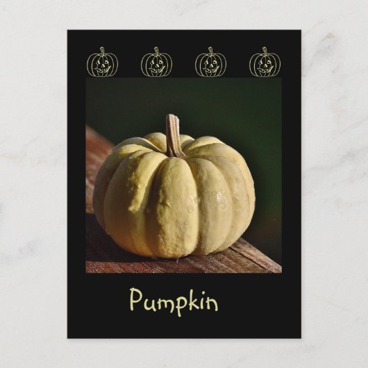 White Pumpkin Mini Gourd Herfst Briefkaart (Voorkant)