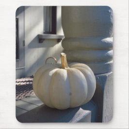 White Pumpkin on the Railing - Martha's Vineyard Muismat