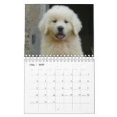 White Puppies Kalender (Mar 2027)