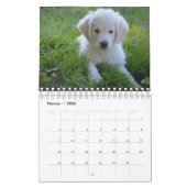 White Puppies Kalender (Feb 2026)