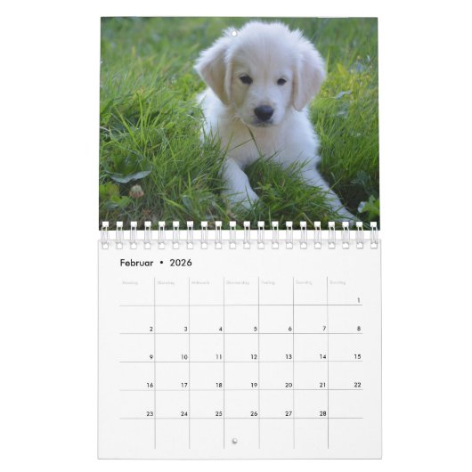 White Puppies Kalender (Feb 2026)
