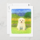 White Puppy Briefkaart (Voorkant / Achterkant)