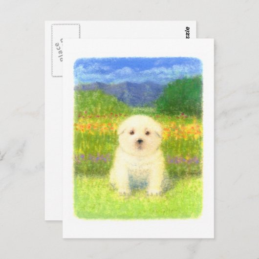 White Puppy Briefkaart (Voorkant / Achterkant)