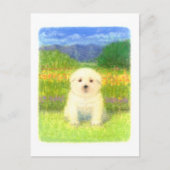 White Puppy Briefkaart (Voorkant)
