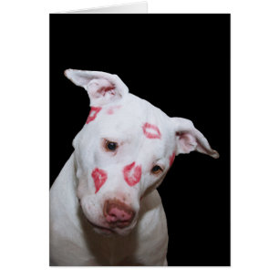 White Puppy Dog Love, verzegeld met Lipstick Kisse