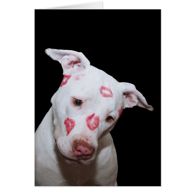 White Puppy Dog Love, verzegeld met Lipstick Kisse (Voorkant)