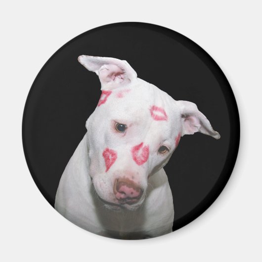 White Puppy Dog Love, verzegeld met Lipstick Kisse Magneet (Voorkant)