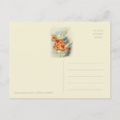 White Rabbit herald John Tenniel CC1125 Fairytale Briefkaart (Achterkant)