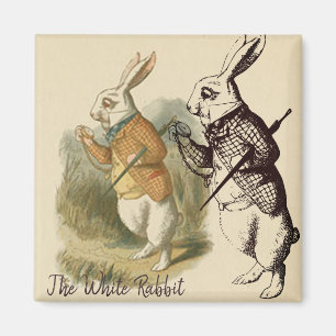  White Rabbit Illustration Magneet
