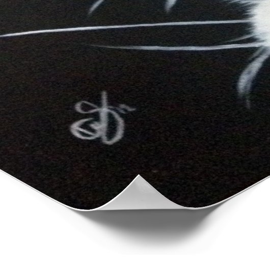 White Rabbit.jpg Poster (Hoek)