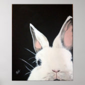 White Rabbit.jpg Poster (Voorkant)