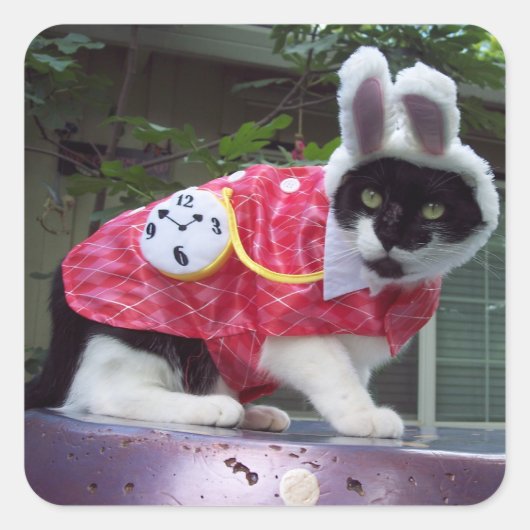 White Rabbit Sticker (Voorkant)