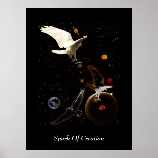 White Raven Fantasy Art Poster (Voorkant)