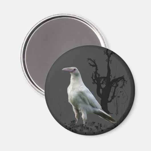 White Raven Magnets Magneet (Voorkant / Achterkant)