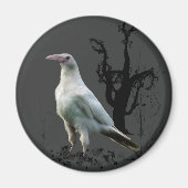 White Raven Magnets Magneet (Voorkant)