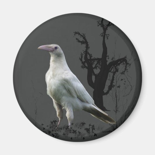 White Raven Magnets Magneet (Voorkant)