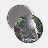 White Raven Magnets Magneet (Voorkant / Achterkant)