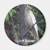 White Raven Magnets Magneet (Voorkant)