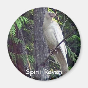 White Raven Magnets Magneet