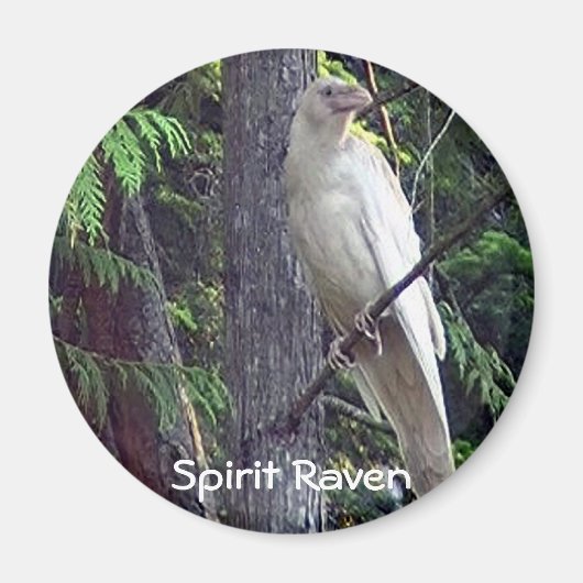White Raven Magnets Magneet (Voorkant)
