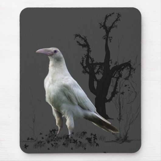 White Raven, Wild Bird, Fantasy, Gothic Muismatten (Voorkant)