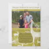 White Reindeer on Green Photo Holiday Kaart (Voorkant)