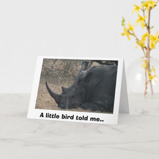White Rhino gets Advice from a Little Bird, A l. Kaart (Gele Bloem)