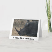 White Rhino gets Advice from a Little Bird, A l. Kaart (Voorkant)