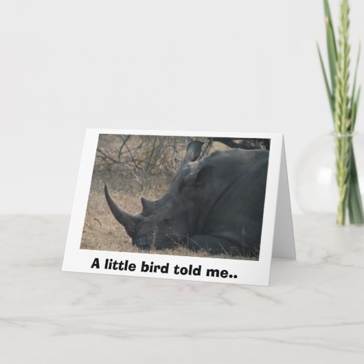 White Rhino gets Advice from a Little Bird, A l. Kaart (Voorkant)