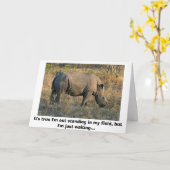 White Rhino Kaart (Gele Bloem)