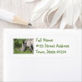 White Rhino Mailing Label (Insitu)