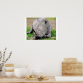 White Rhino Poster (Keuken)
