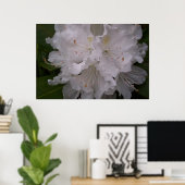 White Rhododendron in Bloom Poster (Thuiskantoor)