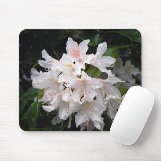 White Rhododendron Mousepad Muismat (Met muis)