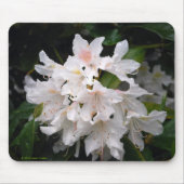 White Rhododendron Mousepad Muismat (Voorkant)