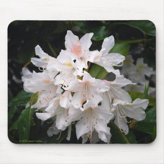 White Rhododendron Mousepad Muismat (Voorkant)