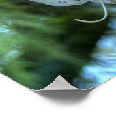 White Rhododendron Poster (Hoek)