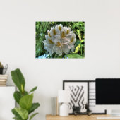White Rhododendron Poster (Thuiskantoor)