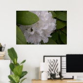 White Rhododendrons Rhododendron Flowers Poster (Thuiskantoor)