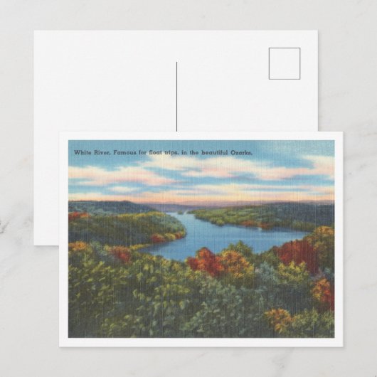 White River Arkansas Missouri Ozarks  scene Briefkaart (Voorkant / Achterkant)