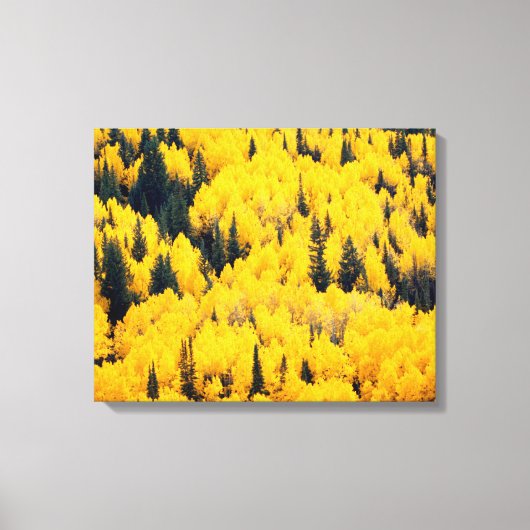 White River National Forest | Aspen, Colorado Canvas Afdruk (Voorkant)