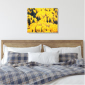 White River National Forest | Aspen, Colorado Canvas Afdruk (Insitu (Slaapkamer))