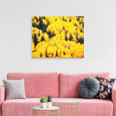 White River National Forest | Aspen, Colorado Canvas Afdruk (Insitu (Woonkamer))