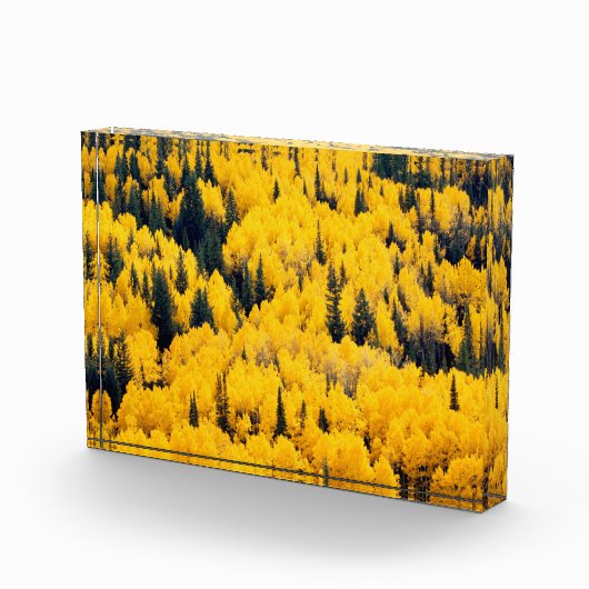 White River National Forest | Aspen, Colorado Fotoblokken (Rechts)