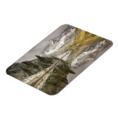 White River National Forest Colorado Magneet (Linkerzijde)