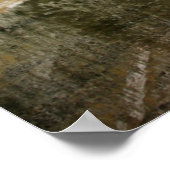 White River National Forest Colorado Poster (Hoek)