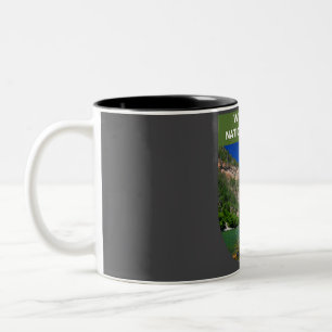 White River National Forest, Colorado, Verenigde S Tweekleurige Koffiemok