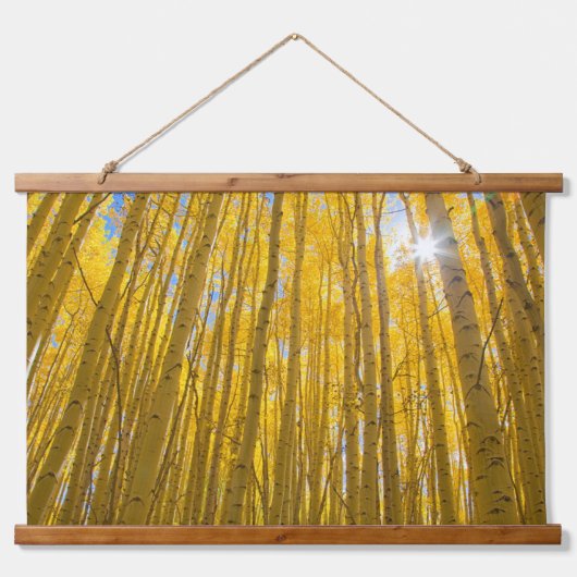 White River National Forest Hangend Wandkleed (Voorkant)