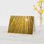 White River National Forest Kaart (Gele Bloem)